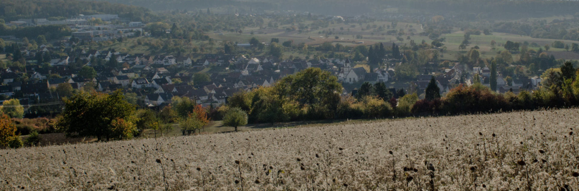 Blick über Birkenfeld in Baden-Württemberg mit Feldern und Wohnhäusern